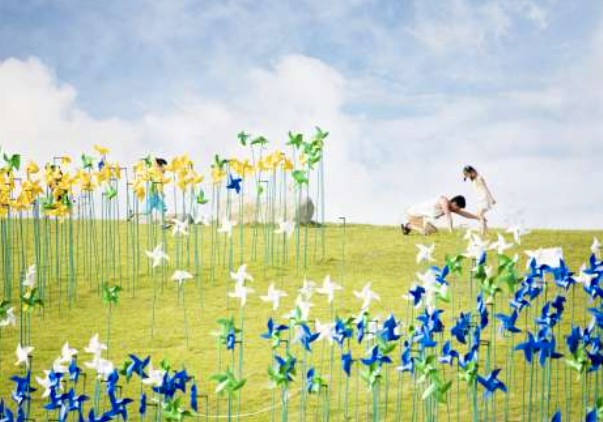 太金國際旅行社的旅遊行程介紹圖片